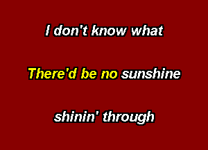 I don't know what

There'd be no sunshine

shinin' through