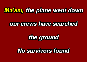 Ma'am, the plane went down

our crews have searched
the ground

No survivors found