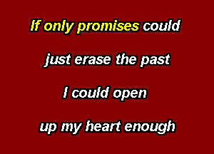 If only promises could
just erase the past

I could open

up my heart enough