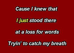 Cause I knew that
I just stood there

at a loss for words

Tryin' to catch my breath