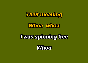 Theirmeaning

Whoa whoa

I was spinning free

Whoa