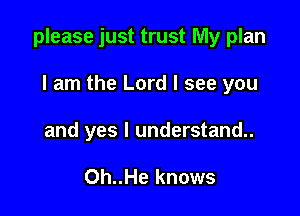 please just trust My plan

I am the Lord I see you
and yes I understand.

Oh..He knows