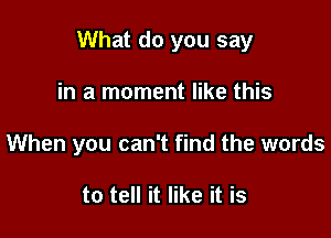 What do you say

in a moment like this
When you can't find the words

to tell it like it is