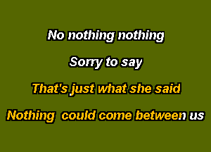 No nothing nothing

Sorry to say
That's just what she said

Nothing could come between us