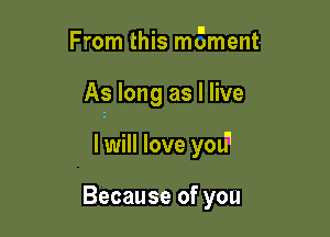 From this meent

As long as Hive

I will love you'1

Because of you