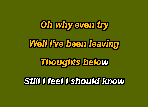 on why even try

We I've been Ieaving

Thoughts below
sun I feel Ishould know