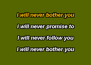 1 will never bother you
I wil! never promise to

I will never follow you

I will never bother you