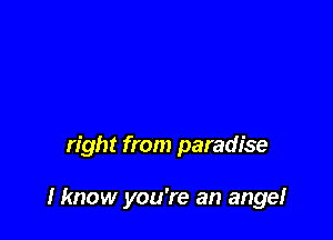 right from paradise

I know you're an angel