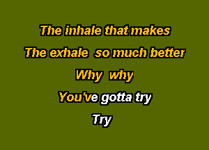 The inhaie that makes
The exhale so much better
Why why

You 've gotta try
Try