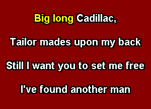 Big long Cadillac,
Tailor mades upon my back
Still I want you to set me free

I've found another man