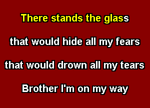 There stands the glass
that would hide all my fears
that would drown all my tears

Brother I'm on my way