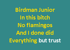 Birdman Junior
In this bitch

No flamingos

And I done did
Everything but trust