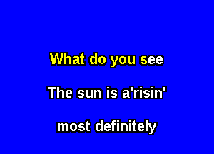 What do you see

The sun is a'risin'

most definitely