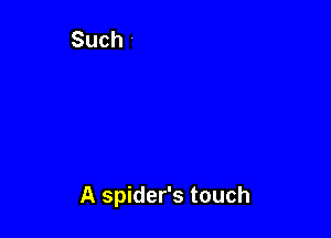 A spider's touch