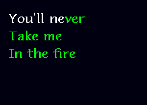 You'll never
Take me

In the fire
