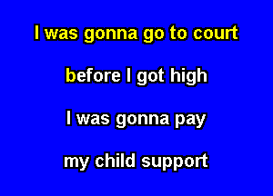 l was gonna go to court

before I got high

I was gonna pay

my child support