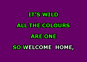 IT'S WILD
ALL THE COLOURS
ARE ONE

80 WELCOME HOME,
