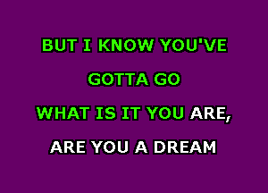 BUT I KNOW YOU'VE
GOTTA GO

WHAT IS IT YOU ARE,

ARE YOU A DREAM