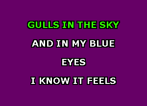 GULLS IN THE SKY
AND IN MY BLUE
EYES

I KNOW IT FEELS