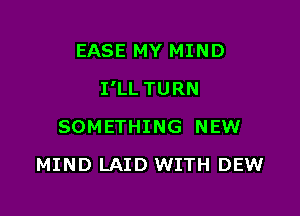 EASE MY MIND

I'LL TURN

SOMETHING NEW
MIND LAID WITH DEW