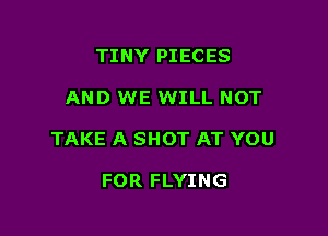 TINY PIECES

AND WE WILL NOT

TAKE A SHOT AT YOU

FOR FLYING