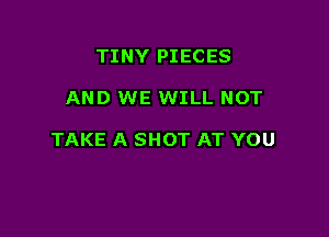 TINY PIECES

AND WE WILL NOT

TAKE A SHOT AT YOU
