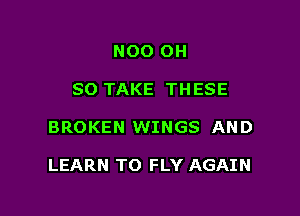 N00 OH
80 TAKE THESE

BROKEN WINGS AND

LEARN TO FLY AGAIN