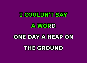 I COULDN'T SAY

A WORD
ONE DAY A HEAP ON
THE GROUND