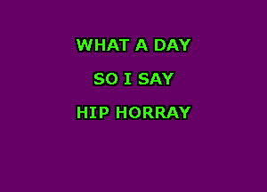 WHAT A DAY
80 I SAY

HIP HORRAY