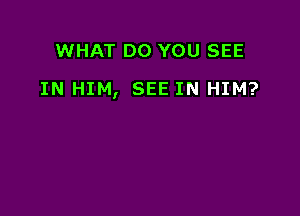 WHAT DO YOU SEE

IN HIM, SEE IN HIM?