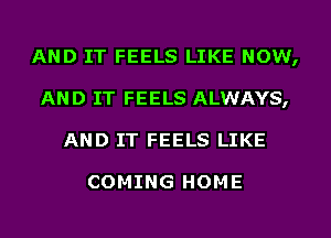 AND IT FEELS LIKE NOW,
AND IT FEELS ALWAYS,
AND IT FEELS LIKE

COMING HOME