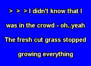t t t I didn't know that I
was in the crowd - oh..yeah
The fresh cut grass stopped

growing everything