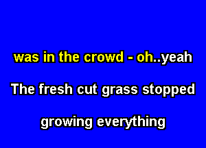 was in the crowd - oh..yeah

The fresh cut grass stopped

growing everything