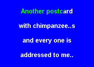 Another postcard

with chimpanzee..s

and every one is

addressed to me..