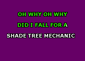 0H WHY OH WHY
DID I FALL FOR A

SHADE TREE MECHANIC