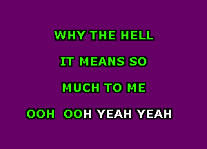 WHY THE HELL
IT MEANS SO

MUCH TO ME

OOH OOH YEAH YEAH