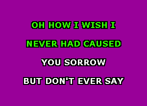 OH HOW I WISH I
NEVER HAD CAUSED

YOU SORROW

BUT DON'T EVER SAY