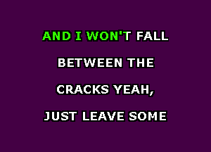 AND I WON'T FALL

BETWEEN THE

CRACKS YEAH,

JUST LEAVE SOME