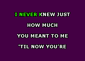 I NEVER KNEW JUST
HOW MUCH

YOU MEANT TO ME

'TIL NOW YOU'RE