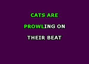 CATS ARE

PROWLING ON

THEIR BEAT