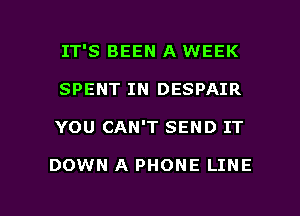 IT'S BEEN A WEEK
SPENT IN DESPAIR

YOU CAN'T SEND IT

DOWN A PHONE LINE

g