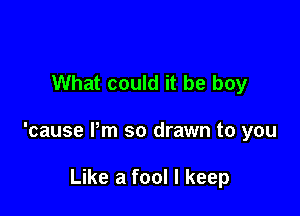 What could it be boy

'cause Pm so drawn to you

Like a fool I keep