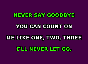 NEVER SAY GOODBYE
YOU CAN COUNT ON
ME LIKE ONE, TWO, THREE

I'LL NEVER LET GO,