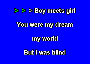 Boy meets girl

You were my dream
my world

But I was blind