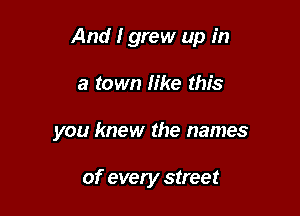 And I grew up in

a town like this
you knew the names

of every street