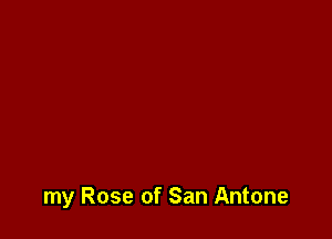 my Rose of San Antone