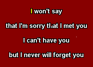 I won't say
that I'm sorry that I met you

I can't have you

but I never will forget you