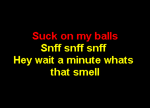 Suck on my balls
Snff snff snff

Hey wait a minute whats
that smell