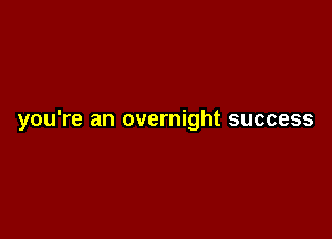 you're an overnight success