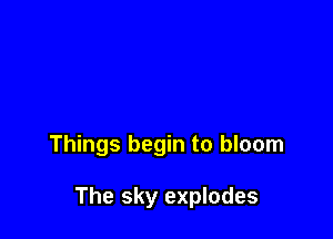 Things begin to bloom

The sky explodes